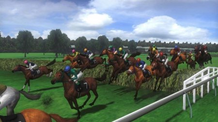   Champion Jockey: G1 Jockey and Gallop Racer (Wii/WiiU)  Nintendo Wii 