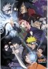Постер ABYstyle: Война Ниндзя (Ninja War) Наруто: Ураганные хроники (Naruto: Shippuden) (ABYDCO314) 98 см