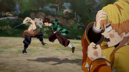 игра Demon Slayer: Kimetsu no Yaiba The Hinokami Chronicles (Switch) для Nintendo Switch