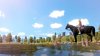 Игра The Unicorn Princess русская версия (PS4) Playstation 4