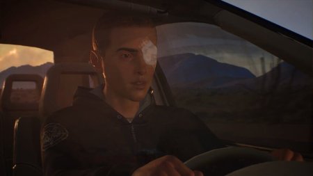 Игра Life is Strange 2 Коллекционное издание (Collector’s Edition) Русская Версия (PS4) Playstation 4