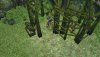  Dungeon Siege: Throne of Agony (PSP) 