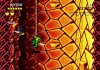 Коллекционный сборник 2 в 1 Боевые жабы (Battletoads) (16BC-010) Русская Версия (16 bit) 