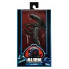  NECA:  (Xenomorph) ̆ 40-  3 (Alien 40th Anniversary Assortment 3) (51702 (51705)) 18 