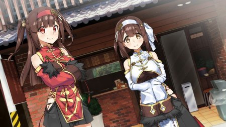 игра Food Girls 2: Civil War (Switch) для Nintendo Switch