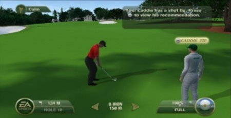   Tiger Woods PGA Tour 12: The Masters (Wii/WiiU)  Nintendo Wii 