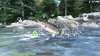 Игра Reel Fishing: Road Trip Adventure (PS4) Playstation 4