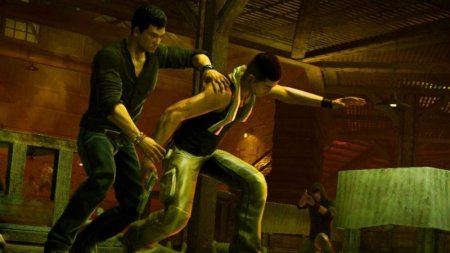   Sleeping Dogs   (PS3)  Sony Playstation 3