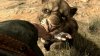 Cabela's Dangerous Hunts 2011 + Беспроводное ружьё Top Shot Elite (Xbox 360)