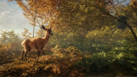  The Hunter: Call of the Wild 2019 Edition   (PS4) Playstation 4