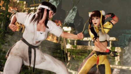 Игра Dead or Alive 6 (VI) Русская Версия (PS4) Playstation 4
