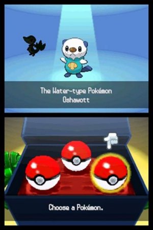  Pokemon Black Version (DS)  Nintendo DS