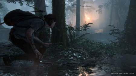 Игра Одни из нас 2 (The Last Of Us II) Специальное издание (Special Edition) Русская Версия (PS4) Playstation 4