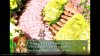 Rhapsody: Marl Kingdom Chronicles Deluxe Edition (PS5)