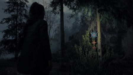 Alan Wake II (2) Deluxe Edition Русская Версия (PS5)