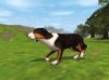 Dog's Life (PS2)