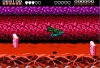   (Battletoads)   (8 bit)   