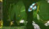 Купить игру Metroid: Samus Return (Nintendo 3DS) на 3DS