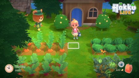 игра Hokko Life Русская Версия (Switch) для Nintendo Switch