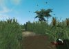 Купить игру Cabela's Dangerous Adventures (Wii/WiiU) на Nintendo Wii диск