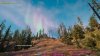 Игра Far Cry: New Dawn Ограниченное издание (Limited Edition) (PS4) Playstation 4