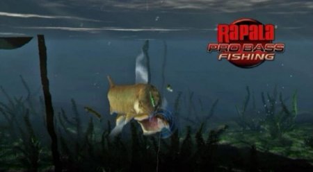   Rapala Pro Bass Fishing +   (Wii/WiiU)  Nintendo Wii 