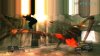Купить игру Lost Planet: Extreme Condition (PS3) для Sony Playstation 3