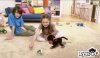 Купить игру EyePet (PS3) для Sony Playstation 3