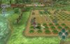 Купить игру Rune Factory: Frontier (Wii/WiiU) на Nintendo Wii диск