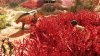 GreedFall: The Dying World Deluxe Edition Русская Версия (PS5)