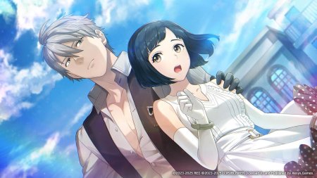 игра Despera Drops (Switch) для Nintendo Switch