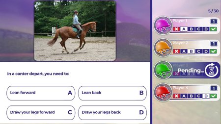Игра Equestrian Training (PS4) Playstation 4