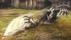 God Eater 2 Японская Версия (PS Vita) USED Б/У
