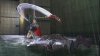 Ninja Gaiden 2 (II) (Xbox 360/Xbox One)