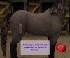 Купить игру Pony Friends 2 (Wii/WiiU) на Nintendo Wii диск