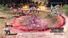 Игра Samurai Warriors 4-II (PS4) Playstation 4