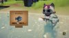 Whisker Waters (PS5)