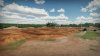 Купить игру MX vs ATV: Alive (PS3) для Sony Playstation 3