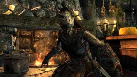 The Elder Scrolls 5 (V): Skyrim     Box (PC) 