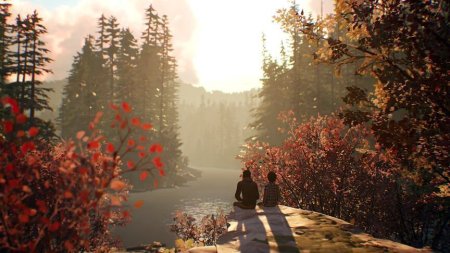 Игра Life is Strange 2 Коллекционное издание (Collector’s Edition) Русская Версия (PS4) Playstation 4
