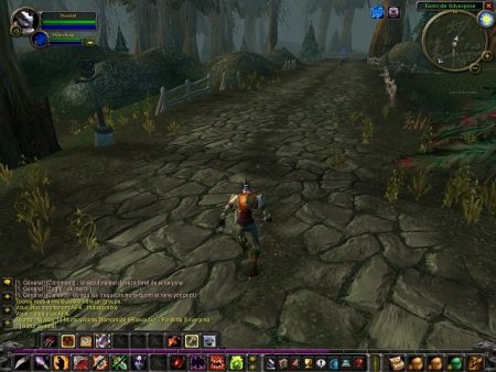 World of Warcraft: 14-     Jewel (PC) 