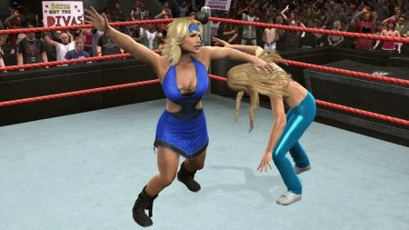   WWE SmackDown vs Raw 2009 (PS3)  Sony Playstation 3