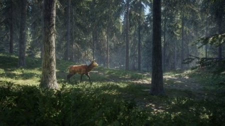  The Hunter: Call of the Wild 2019 Edition   (PS4) Playstation 4