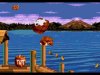   (Donkey Kong)   (16 bit) 