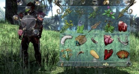 Купить игру Two Worlds 2 (II) Русская Версия (PS3) для Sony Playstation 3