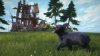 Kinectimals: Новые герои медведи! для Kinect Русская Версия (Xbox 360) USED Б/У