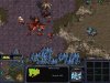 StarCraft + StarCraft: Brood War Box (PC) 