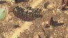 Spellforce III (3) Русская Версия Box (PC) 