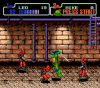 Сборник игр 10 в 1 AB-10001 Teenage Mutant Hero Turtles:The Hyperstone Heist/Tiny Toon Adventures (16 bit) 