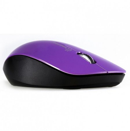 Мышь беспроводная Smartbuy 309AG, белая (PC) 